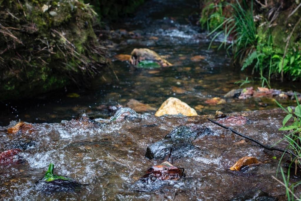 Las acciones del fondo de agua en pro de la seguridad hídrica han potenciado la calidad de vida de los antioqueños