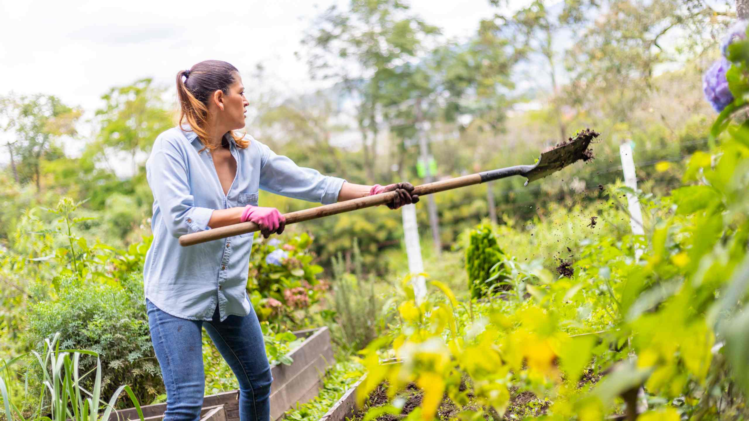 Conectividad y Ruralidad: Impulsando el Empoderamiento Femenino en Colombia
